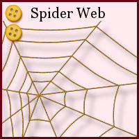 medium intermediate, spider, web, vector