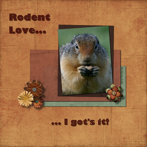 BC Project 2-Rodent Love-600.jpg