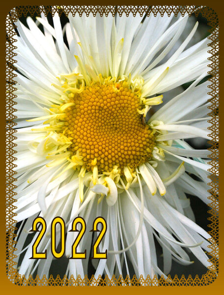 My Calendar-Cover-2022-600.jpg