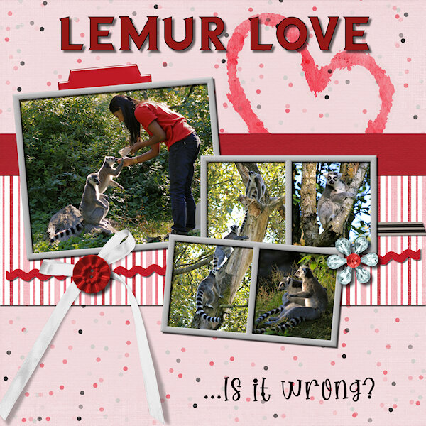 QP Feb 2022-D4 xtra-Lemur Love-600 .jpg