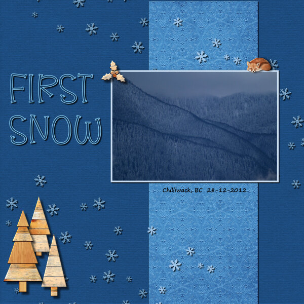 BC Project 1-First Snow-600 .jpg