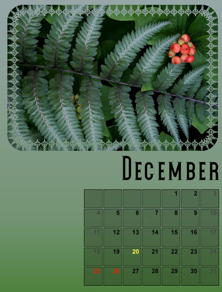 My Calendar-12-2022-600.jpg