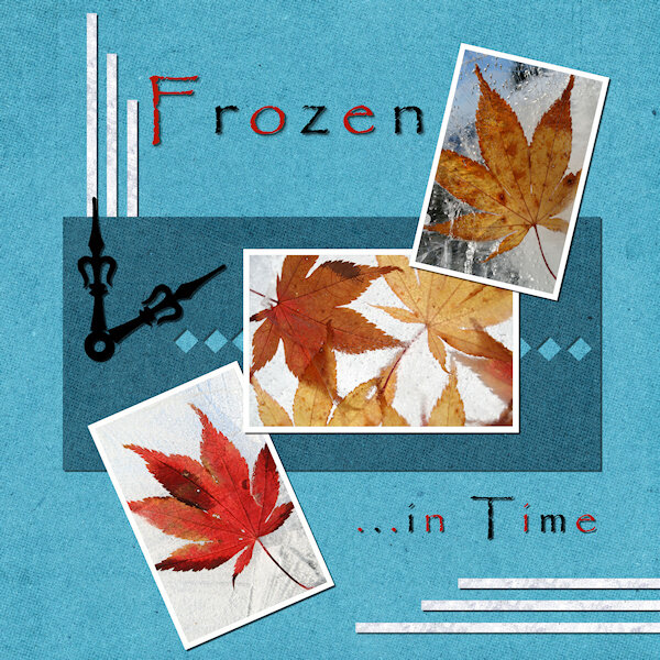 BC Project 4-Frozen in Time-600.jpg