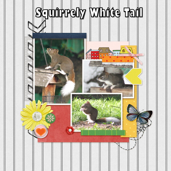 QP May 2022-D3-Squirrely White Tail-600.jpg