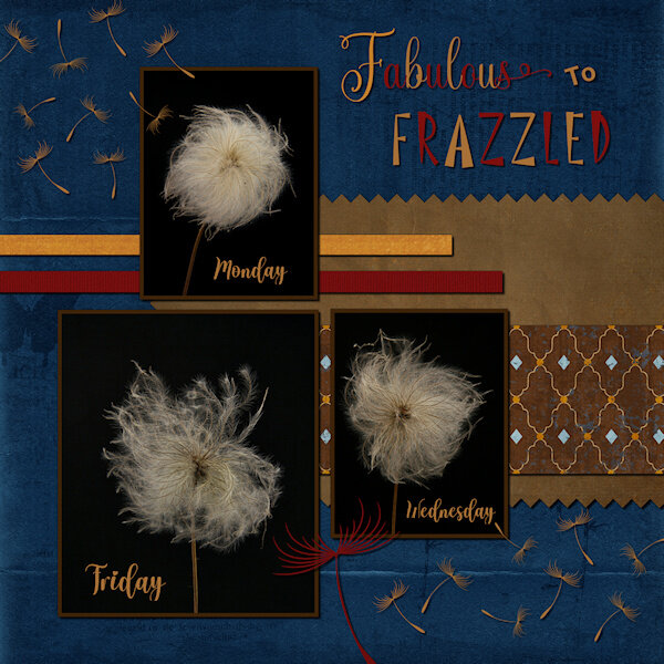 BC Project 4 Fabulous to Frazzled-600