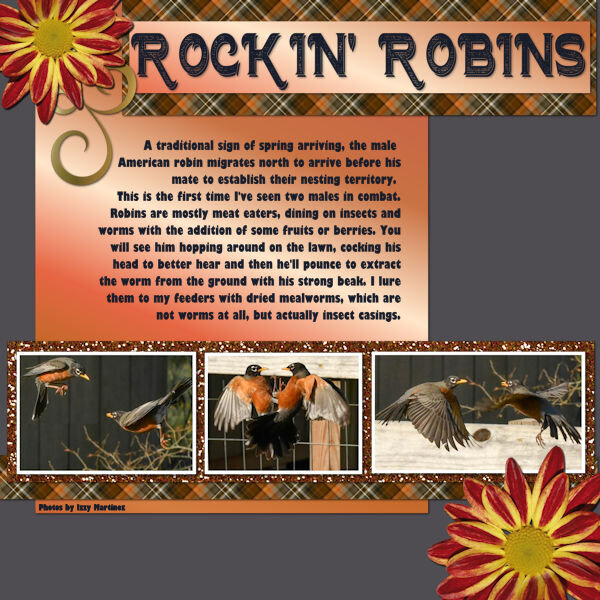 ROCKIN ROBIN_600.jpg
