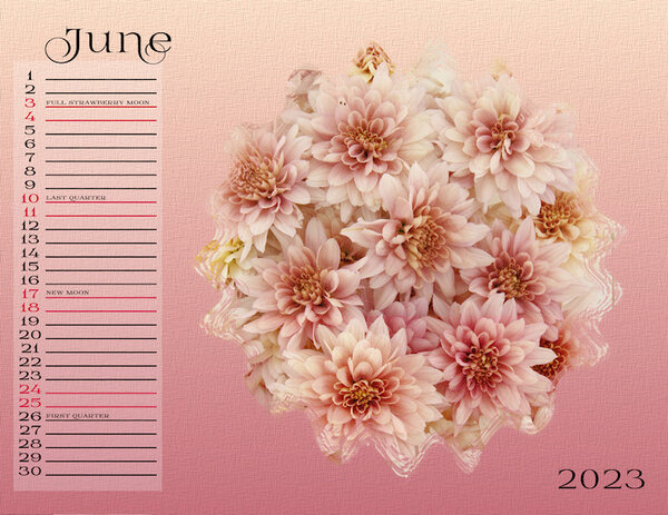 My Calendar-06-2023-WIP-600.jpg