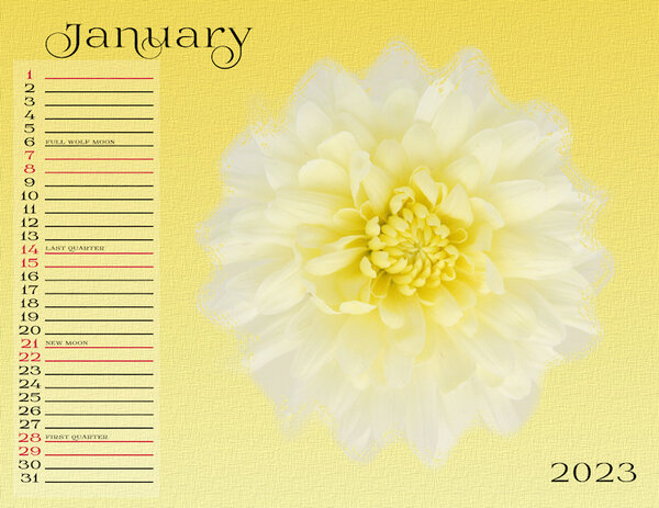 My Calendar-01-2023-WIP-600.jpg