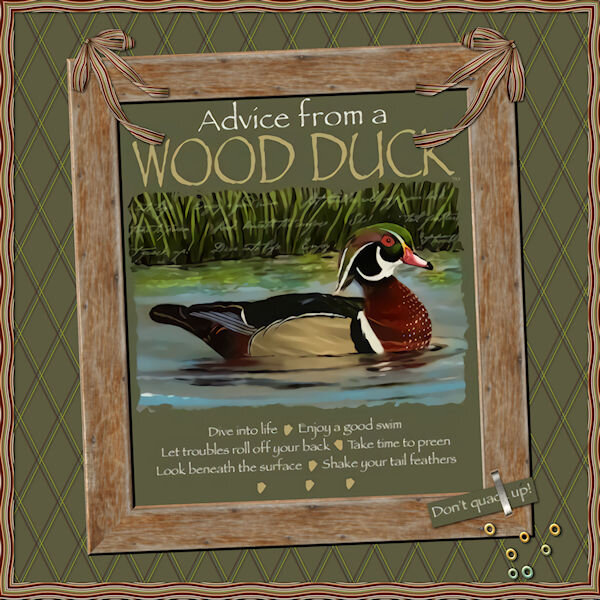 ADVICE FROM A WOOD DUCK-scaled