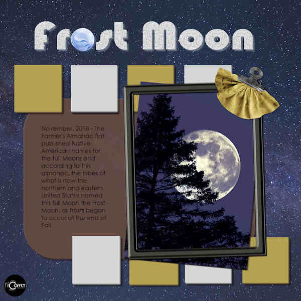 PROJECT 5 - FROST MOON_600