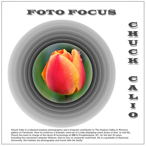 hvip-FOTO FOCUS-CHUCK CALIO_600.jpg