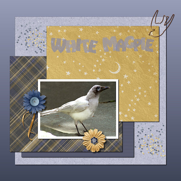 Text Workshop Lesson 5 White Magpie-600-gallery