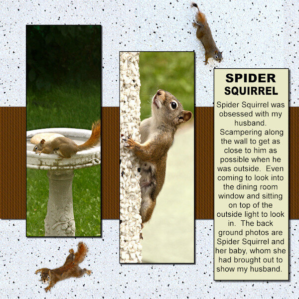 DPWS-Lesson 2-pg 2 Spider Squirrel-600-gallery