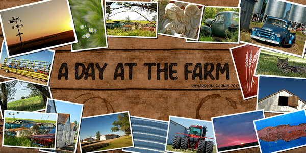 DPWS-Lesson 4-A Day at the Farm-gallery