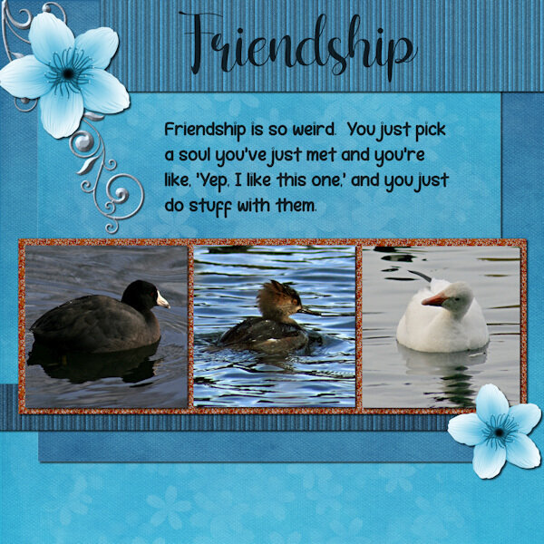 BC Project 3-Friendship-gallery