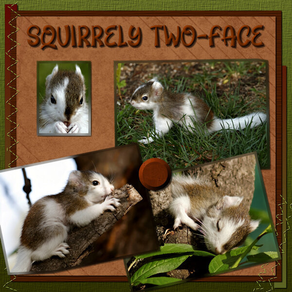 DIY May 2023 Squirrely Two-Face-gallery
