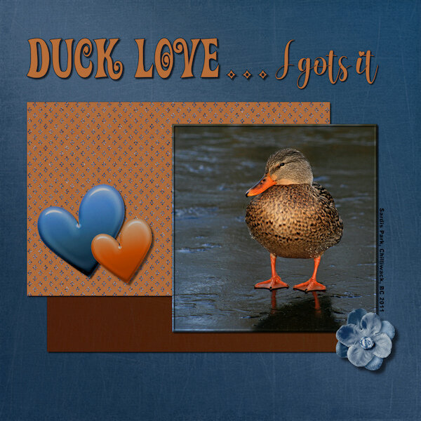 BC Project 3- Duck Love I gots it-gallery