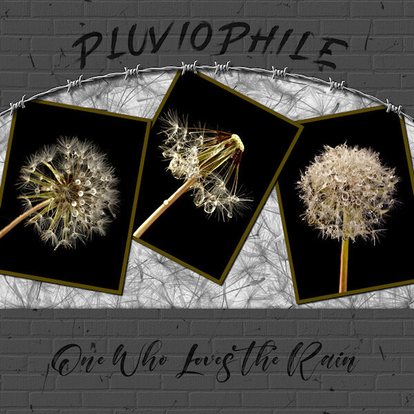 May Scraplift Challenge-Pluviophile-gallery