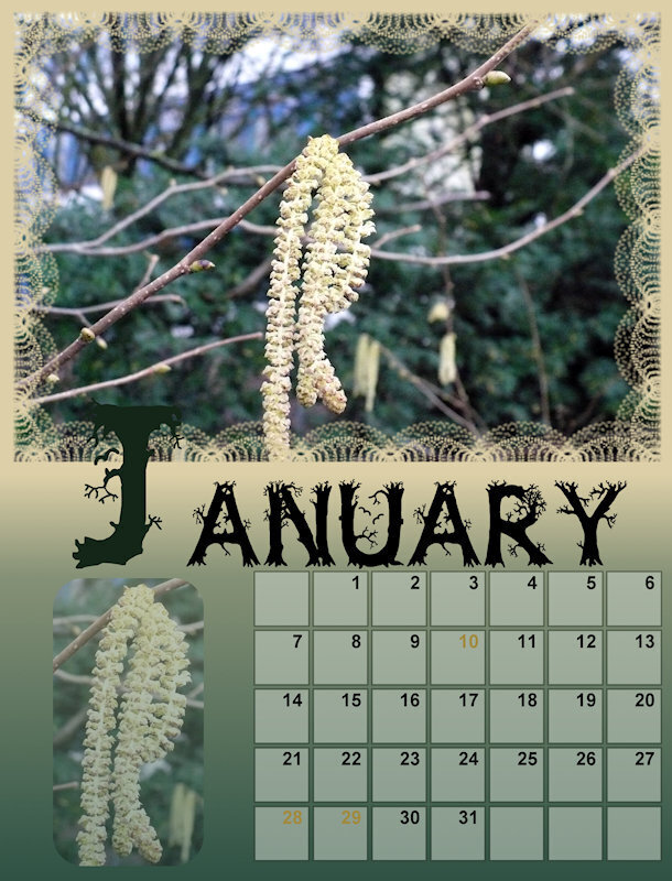 Calendar-01-januar6anja-600.jpg