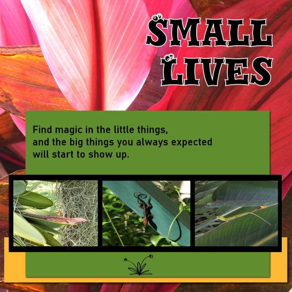 3rd exercise small lives 600.jpg