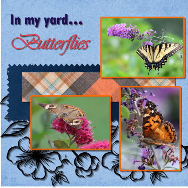 Butterflies-600.jpg