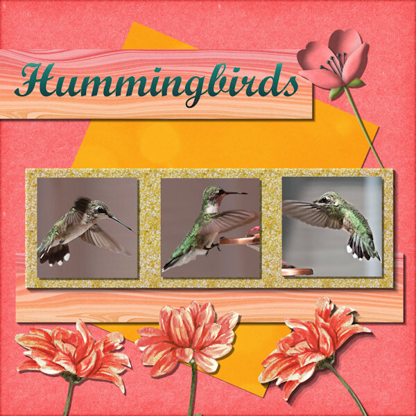 Hummingbirds-600..jpg