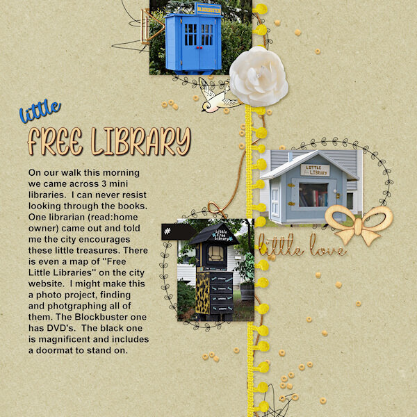 QP-6-Little Free Library-gallery