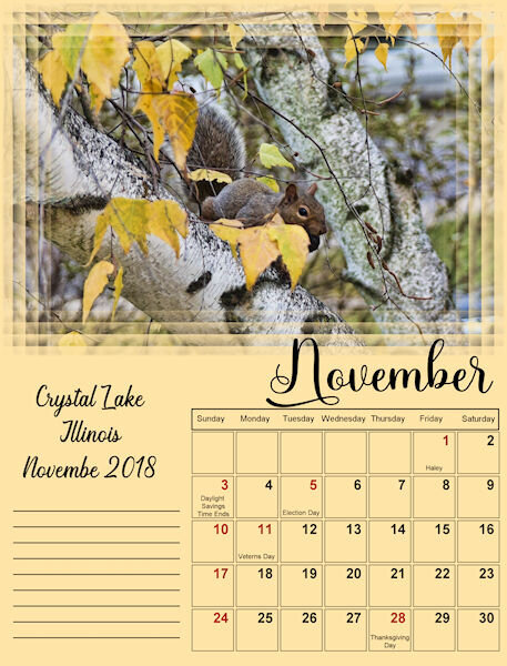 2024-Calendar-11- November sm.jpg
