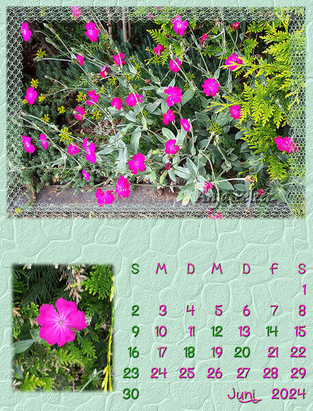 Calendar-06-nov23-Funkids-anja1.jpg