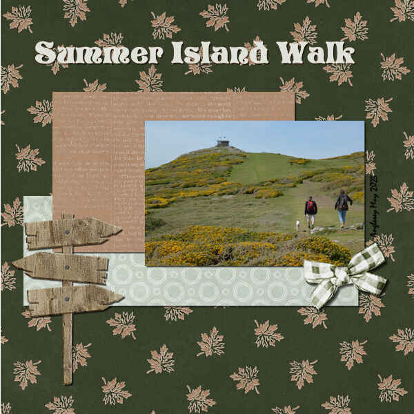 Island walk 600.jpg