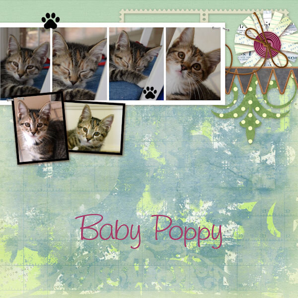 2011 10 10 Baby Poppy ps_marisa-lerin_107861_vietnam-quick-page-04b_cu 600.jpg