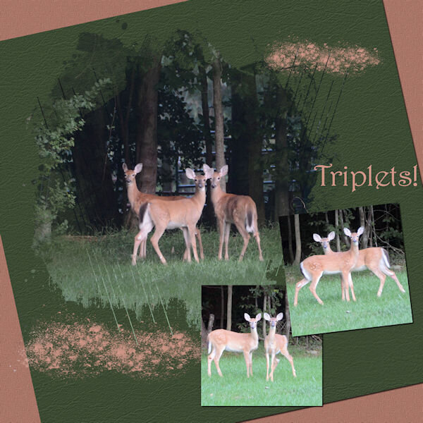 2011 9 10 Triplets Template 121 de lady22 600.jpg