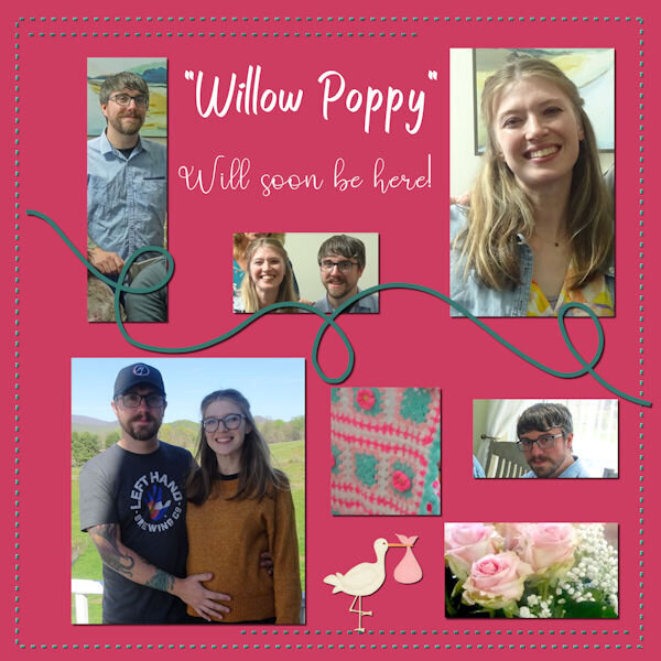 2024 4 14 Willow Poppy DIY-2024-05 600.jpg