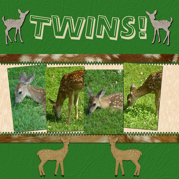 2019 8 12 Twin Fawns Template-Lab14-08 600.jpg