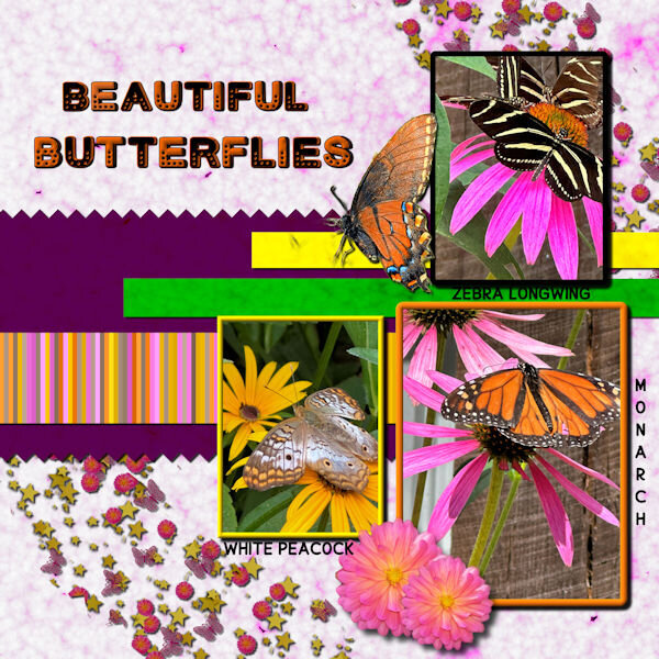 dsbutterflies600.jpg