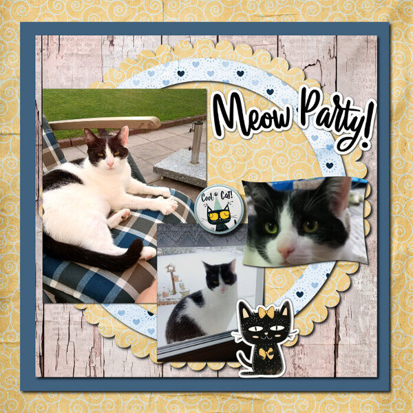 cass-Temp2-A-cwd-miau-party.jpg