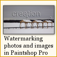 watermarking