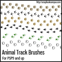 AnimalTracks-Brushes-200