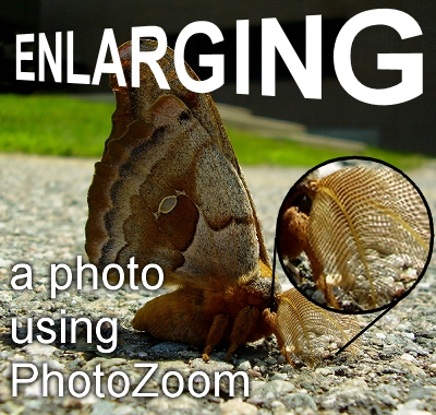 Enlarging A photo using Photozoom
