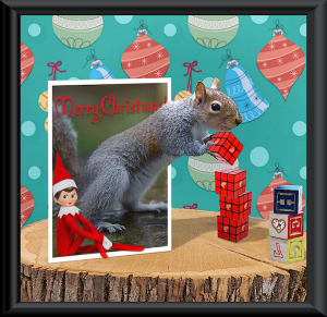 squirrel-christmas-card