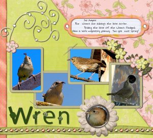 wrens-last-clutch
