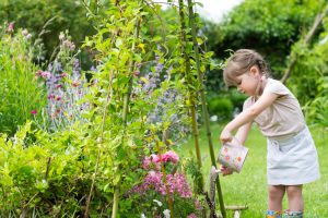 child-watering-garden-2