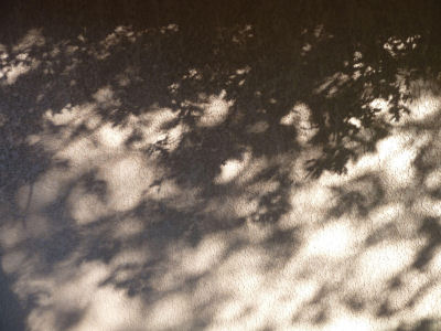 shadows-04