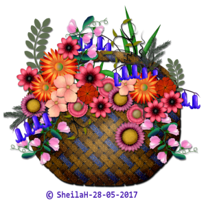 fflower-basket-2-sgh-28-05-2017