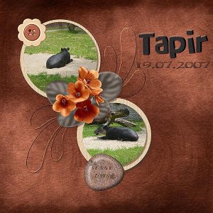 0817-ayladesign-tapier-myst