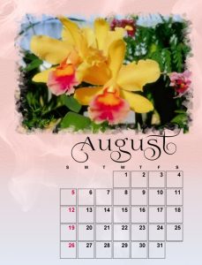 august-small-2