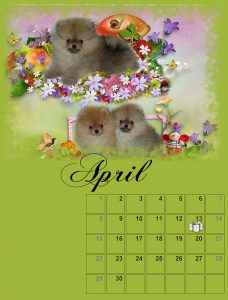 calendar-04-small