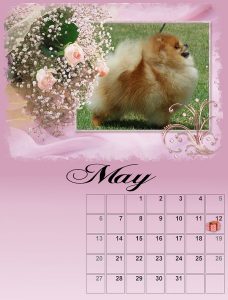 calendar-05-small