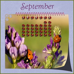 calendar-sept-2017