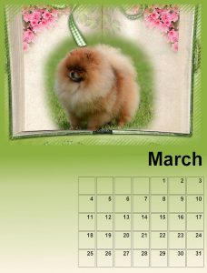 calendar-march-resized-for-upload